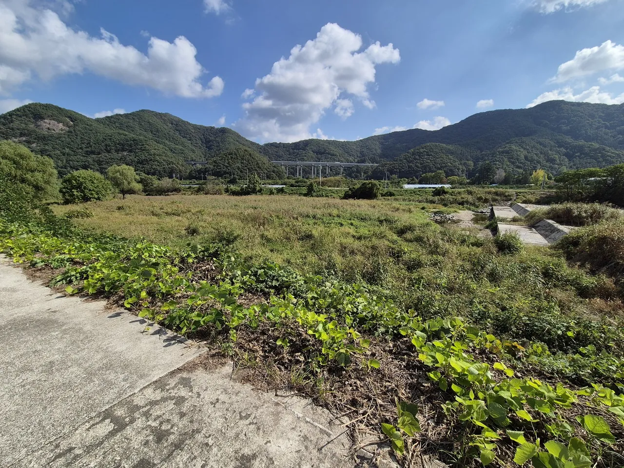 전북 완주 전주천 상죽음보 철거 협약…내년 1월 착공