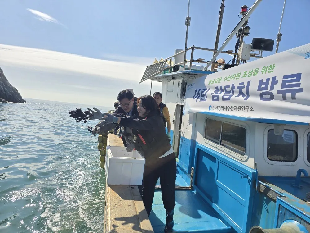 인천시, 옹진 대이작 해역에 어린 참담치 35만 마리 방류